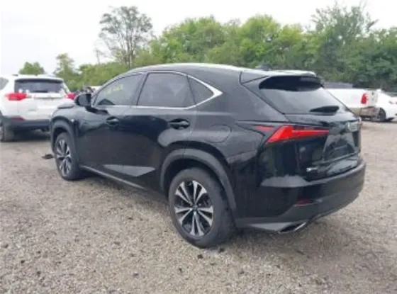Lexus NX 2020 Тбилиси