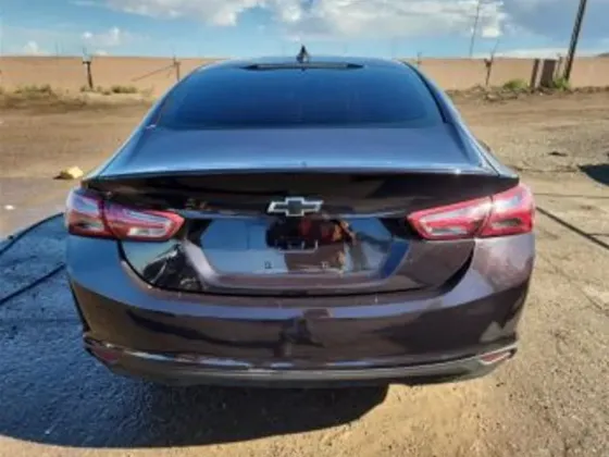 Chevrolet Malibu 2021 Тбилиси