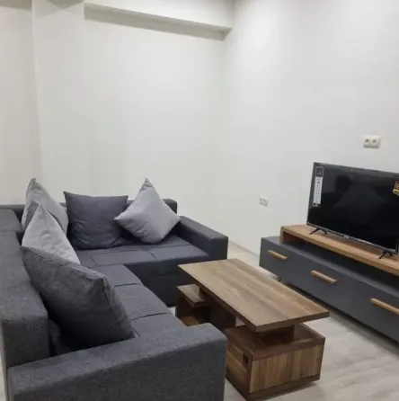 ქირავდება 2 ოთახიანი ბინა 55მ² 11/15 სართ თბილისი