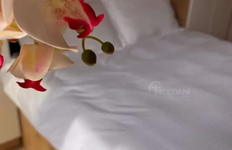 Сдам 3-комн. квартиру на сутки в Тбилиси  80м² 12/13 эт. Тбилиси - изображение 1