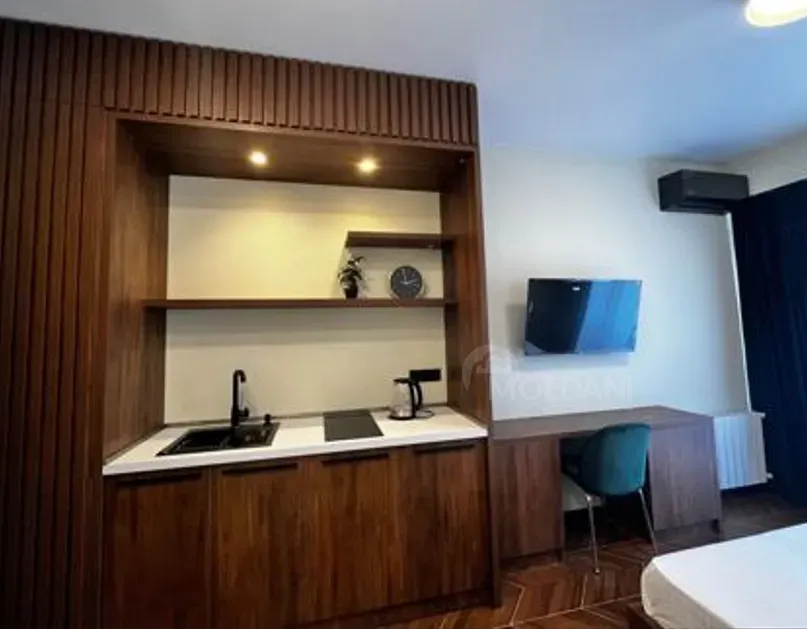 Сдам 1-комн. квартиру на сутки в Тбилиси  30м² 10/12 эт. Тбилиси - изображение 2