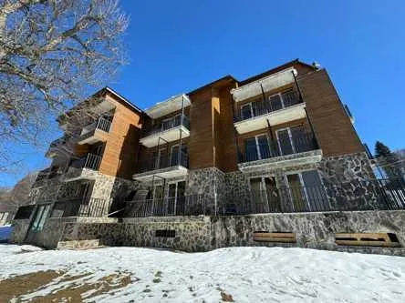 Apartments For Sale two-room 50м² 1/5 floor Borzhomi