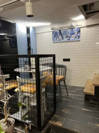 Apartments For Sale five-room 121м² 1/5 floor Tbilisi