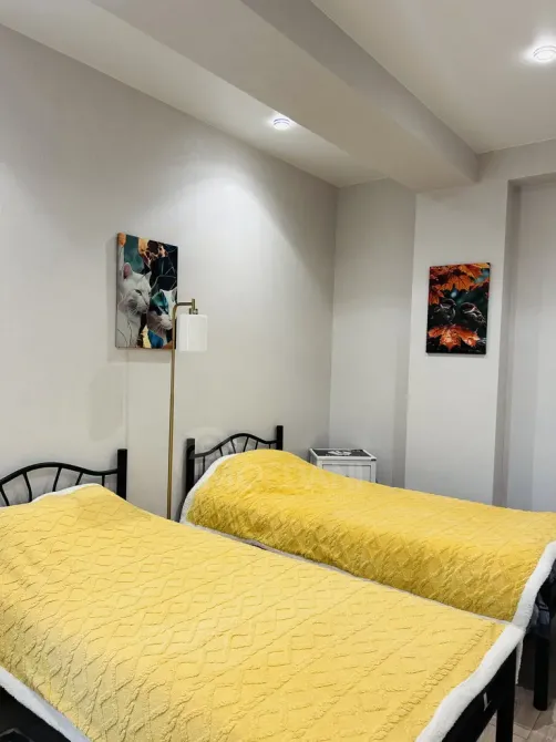 ქირავდება 3 ოთახიანი ბინა 65მ² 2/7 სართ თბილისი - photo 2