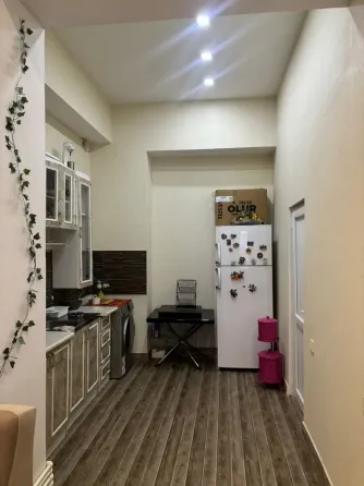 Apartments For Sale two-room 50м² 1/9 floor Tbilisi