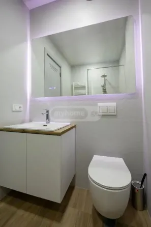 ქირავდება 2 ოთახიანი ბინა 55მ² 11/14 სართ თბილისი