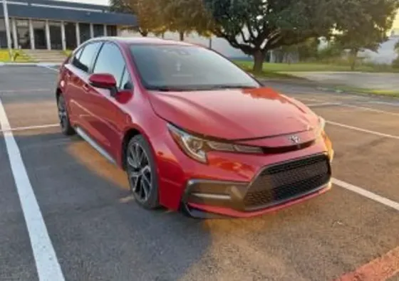Toyota Corolla 2L 2020 Тбилиси