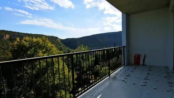 Apartments For Sale two-room 59м² 7/9 floor Tbilisi