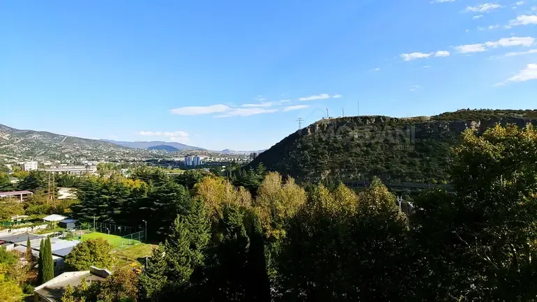 Apartments For Sale two-room 59м² 7/9 floor Tbilisi - photo 12