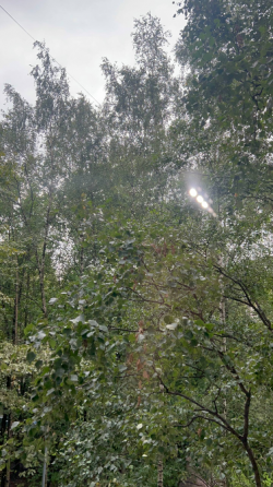 Glass restoration Batumi