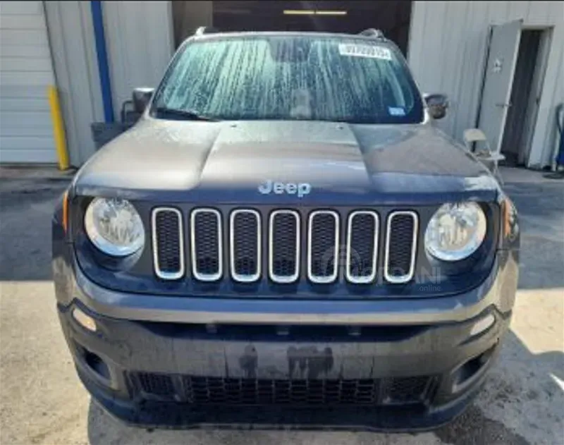 Jeep Renegade 2018 თბილისი - photo 1