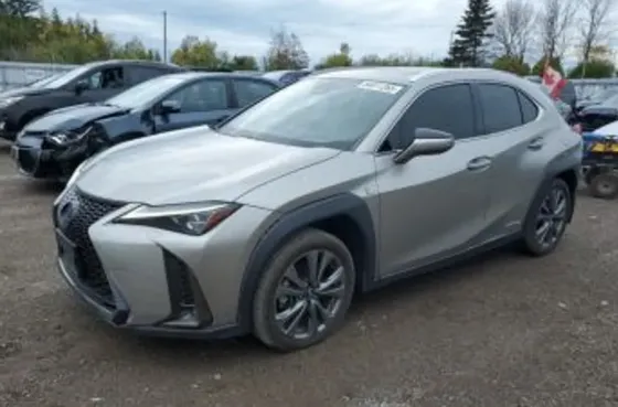 Lexus UX 2021 Тбилиси