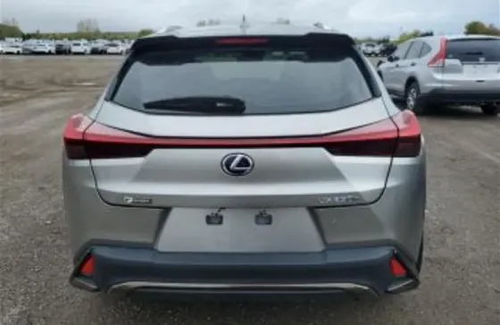 Lexus UX 2021 Тбилиси