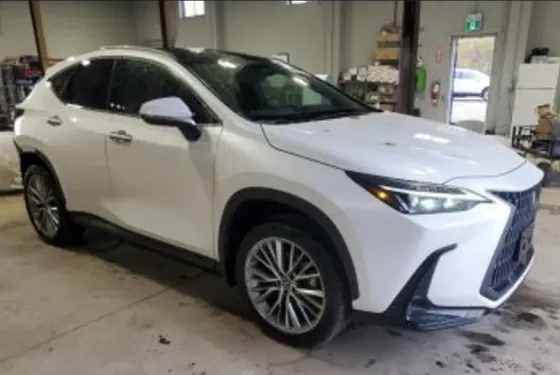 Lexus NX 2023 Тбилиси