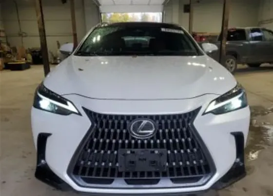 Lexus NX 2023 Тбилиси