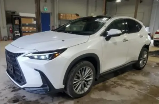 Lexus NX 2023 Тбилиси