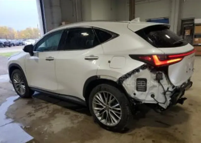 Lexus NX 2023 Тбилиси - изображение 2