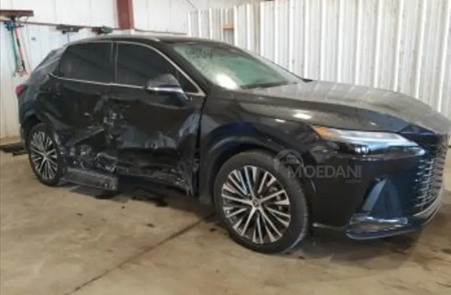 Lexus RX 2024 თბილისი - photo 5