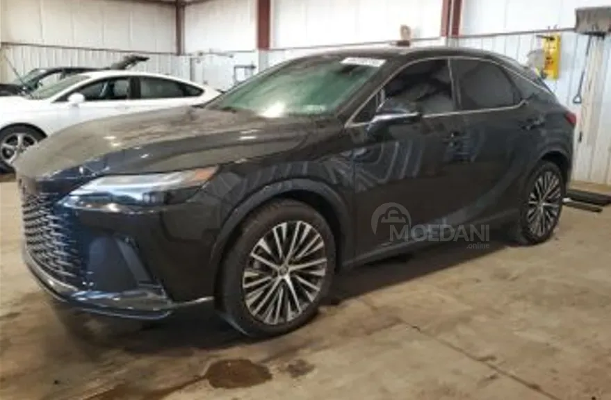 Lexus RX 2024 თბილისი - photo 3