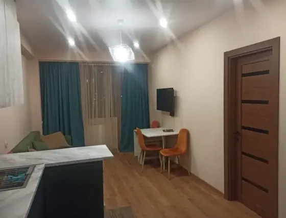 Apartments For Sale two-room 55м² 15/15 floor Tbilisi