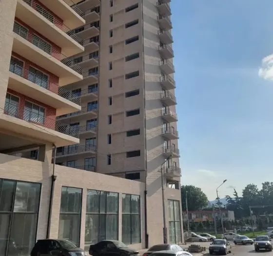 Apartments For Sale two-room 55м² 15/15 floor Tbilisi