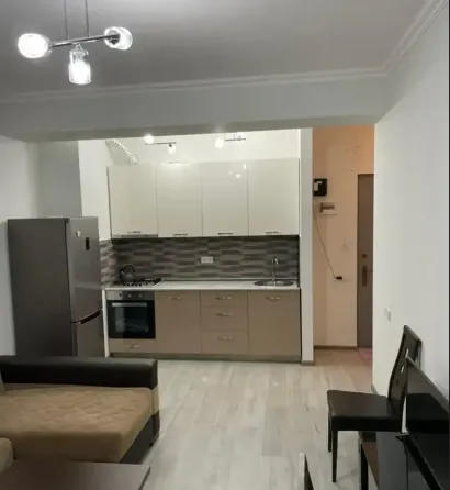 Apartments For Rent two-room 55м² 16/18 floor Tbilisi