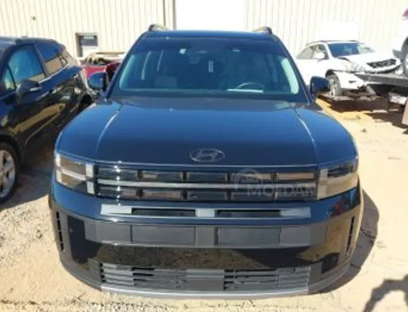 Hyundai Santa Fe 2024 თბილისი - photo 1