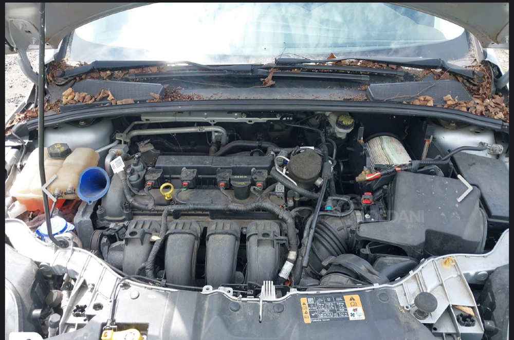 Ford Focus 2L 2014 გორი - photo 10