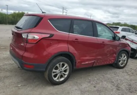 Ford Escape 1.5L 2017 Тбилиси