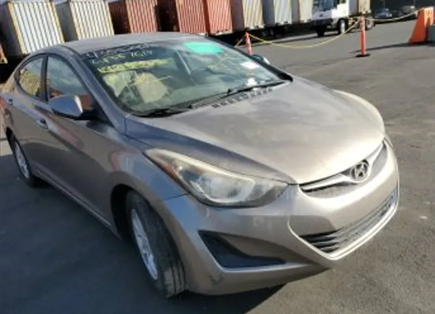 Hyundai Dynasty 2015 Tbilisi - photo 4