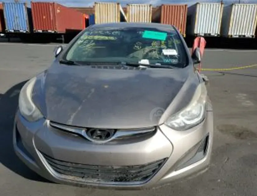 Hyundai Dynasty 2015 Tbilisi - photo 1