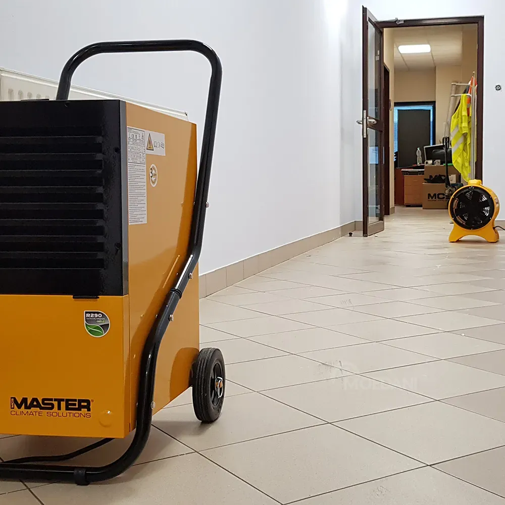 Master dehumidifier for rent Tbilisi - photo 6