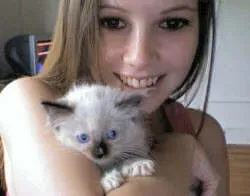 Hand-Raised Ragdoll kittens.whatsapp us:+447490124950 Tbilisi