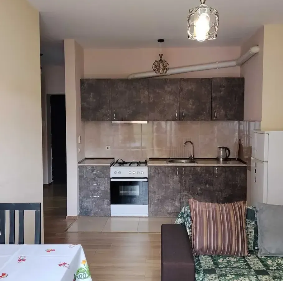 Apartments For Rent two-room 55м² 8/11 floor Tbilisi - photo 1