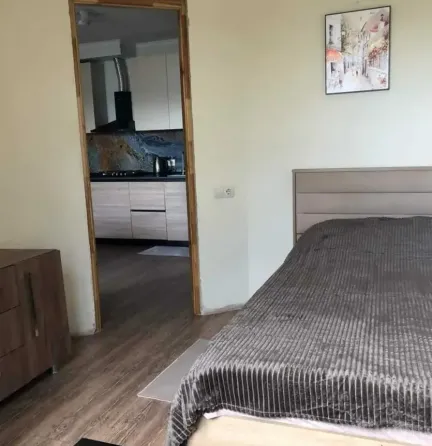 Apartments For Rent two-room 50м² 5/9 floor Tbilisi