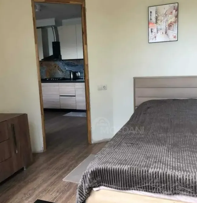 Apartments For Rent two-room 50м² 5/9 floor Tbilisi - photo 2