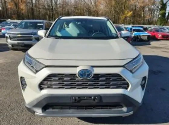 Toyota RAV4 2.5L 2020 Тбилиси