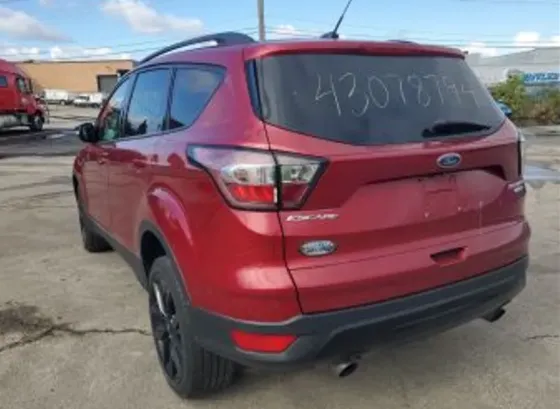 Ford Escape 2L 2017 Тбилиси