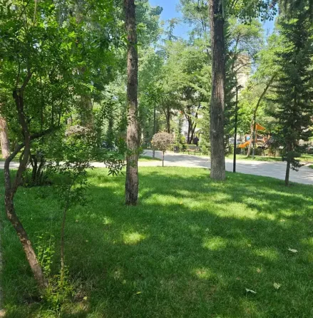 Apartments For Rent two-room 57м² 1/5 floor Tbilisi