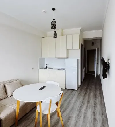 Apartments For Rent one-room 42м² 8/21 floor Tbilisi