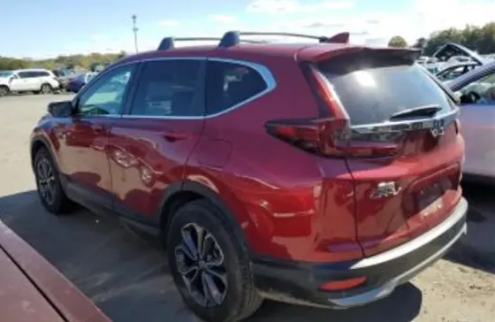 Honda CR-V 2020 თბილისი