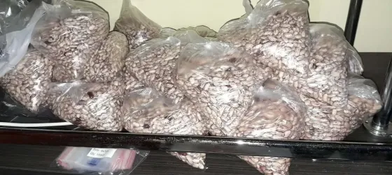 A vegetable garden in Tsager Сageri