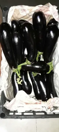 A vegetable garden in Tsager Сageri