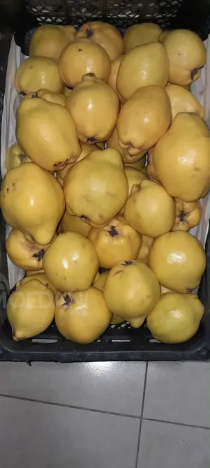 A vegetable garden in Tsager Сageri - photo 7