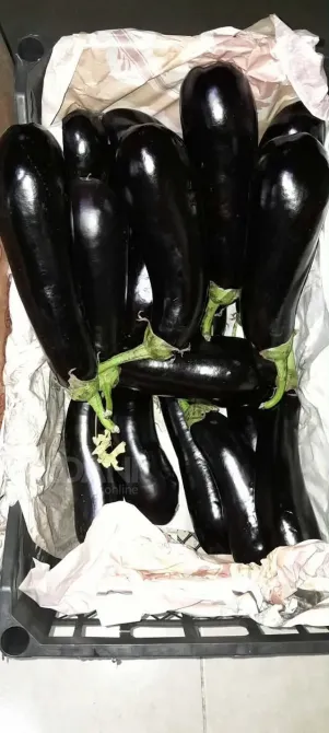 A vegetable garden in Tsager Сageri - photo 4