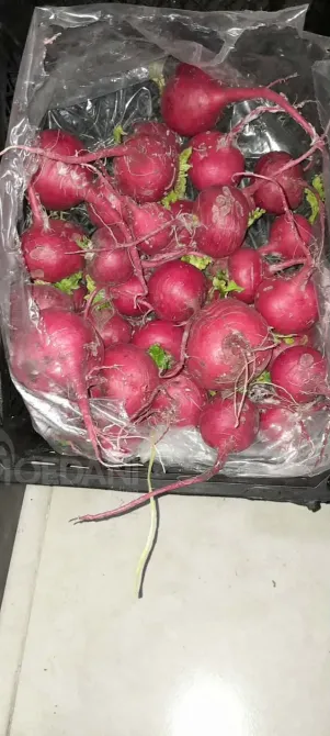 A vegetable garden in Tsager Сageri - photo 9