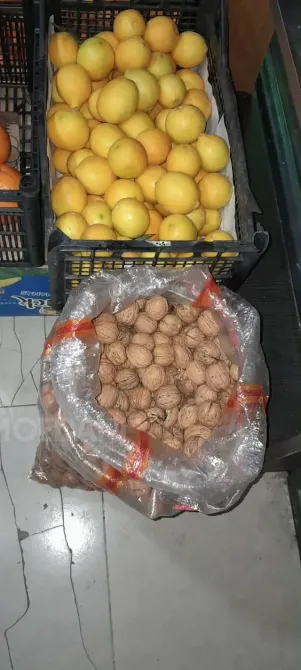 A vegetable garden in Tsager Сageri - photo 8