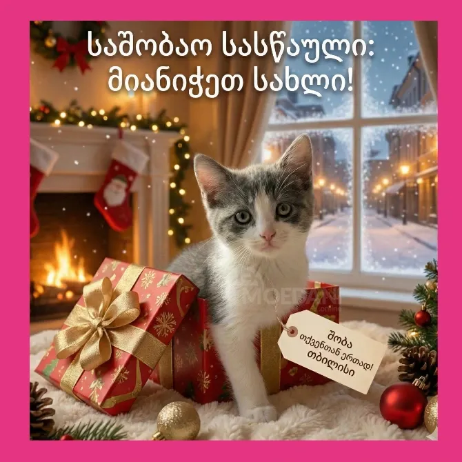 Სრულყოფილი საშობაო საჩუქარი გელოდებათ ჩუღურეთში Tbilisi - photo 1