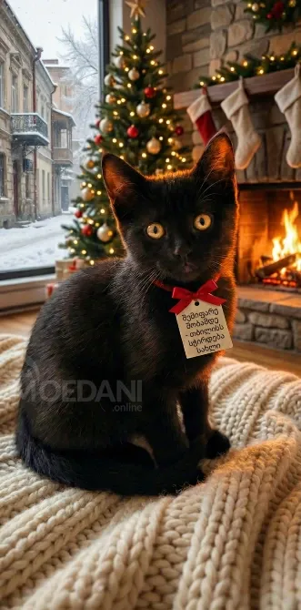 Გააკეთეთ კარგი საქმე წლის დასასრულს - გადაარჩინეთ სიცოცხლე Tbilisi - photo 1