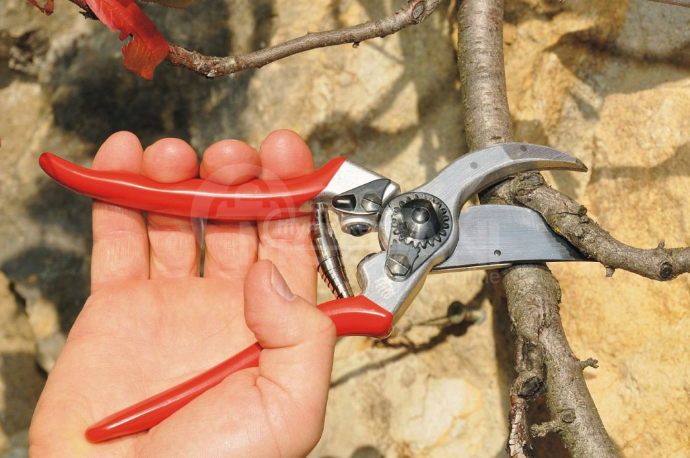 იყიდება სეკატორი თბილისი - photo 1